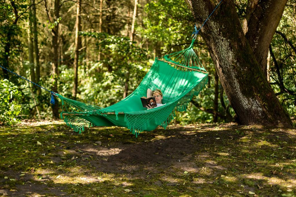 Gospodarstwo Nad Jeziorem Agroturismo *