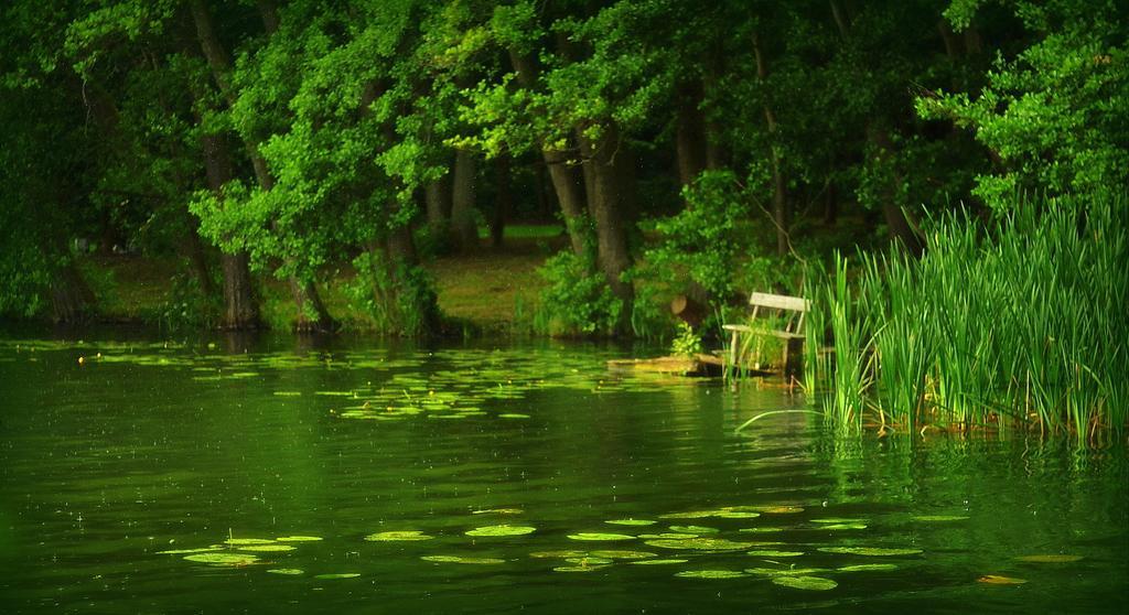 Gospodarstwo Nad Jeziorem Farm stay Zalom (Czlopa)