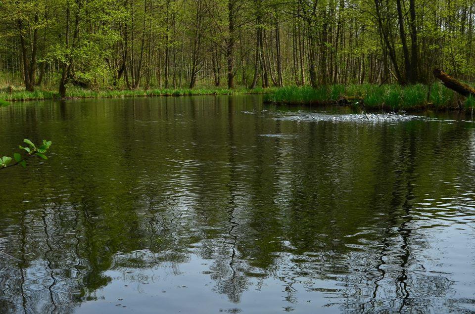 Gospodarstwo Nad Jeziorem Agroturismo *