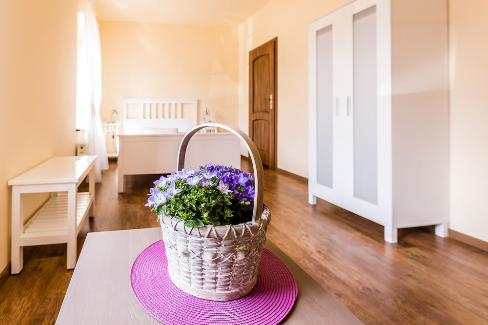 Gospodarstwo Nad Jeziorem Farm stay