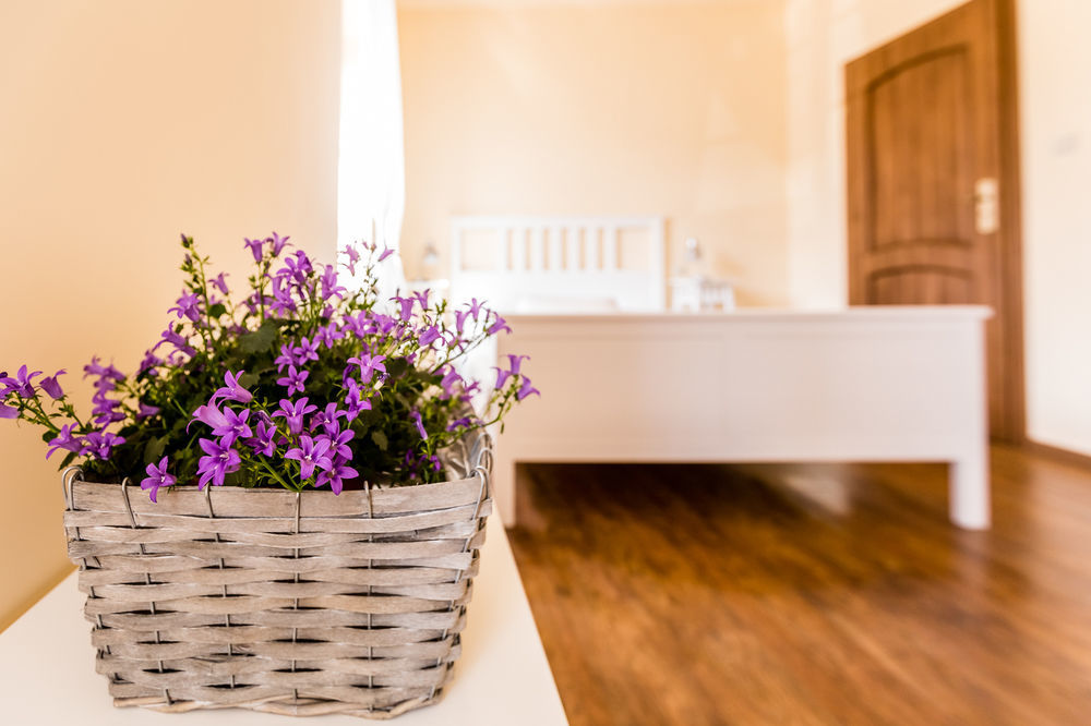 Farm stay Gospodarstwo Nad Jeziorem *